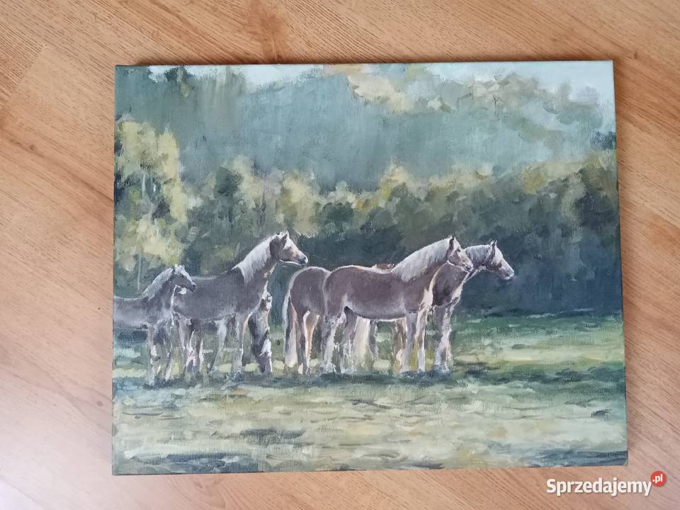 Obraz na płótnie 40x50 konie sprzedam