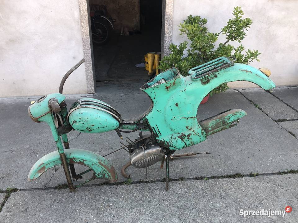 Komar Ryś Kosorowice