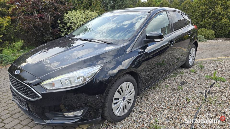 Ford Focus Benzyna Bogate wyposażenie kujawsko-pomorskie Toruń sprzedam