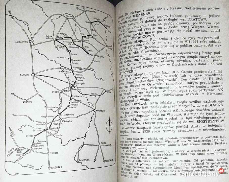 Rajdy partyzanckie w lubelskiem 19431944 Leszek Chełm