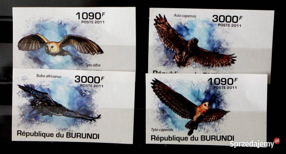 Burundi ( ptaki)3