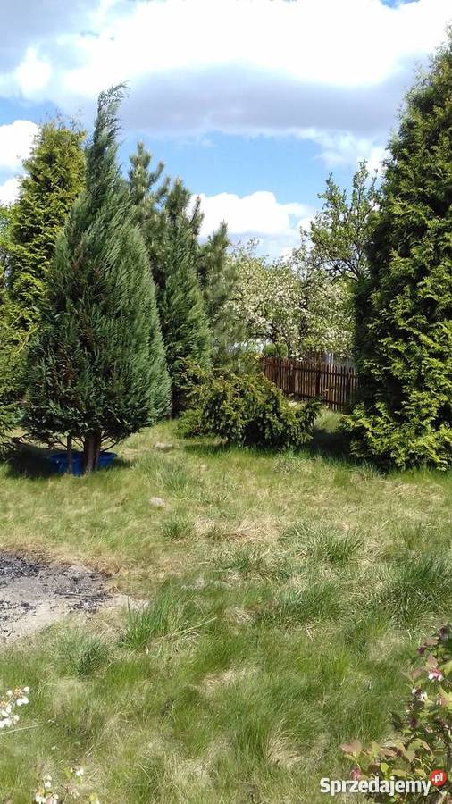 Sprzedam ogródek działkowy siatka Płock
