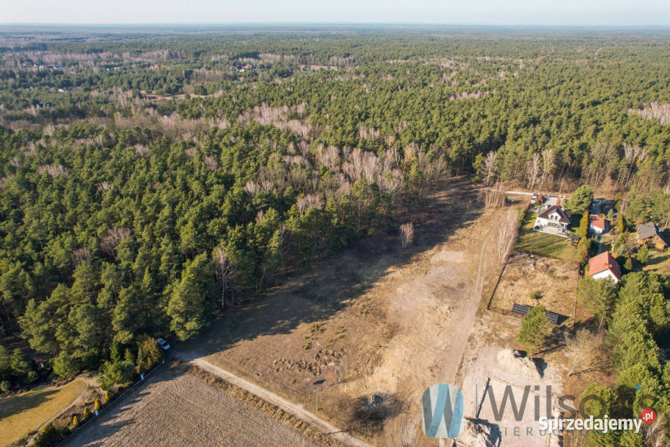 Działkę sprzedam 3726m2 Leszno Polna utwardzona