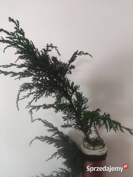 Duża kompozycja flakon ozdoba Kraśnik