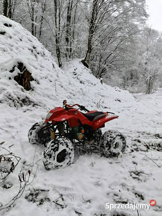 Bashan 250 chłodzony cieczą 41 Kraśnik