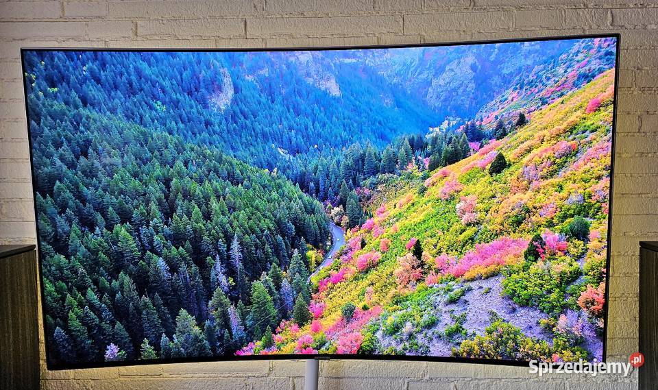 Telewizor Samsung 65 Premium UHD 4K Smart TV Barlinek