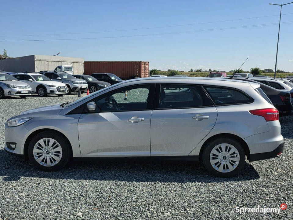 Ford Focus 16 TDCi 8V 115 2015r Salon Mk3 światła LED dolnośląskie