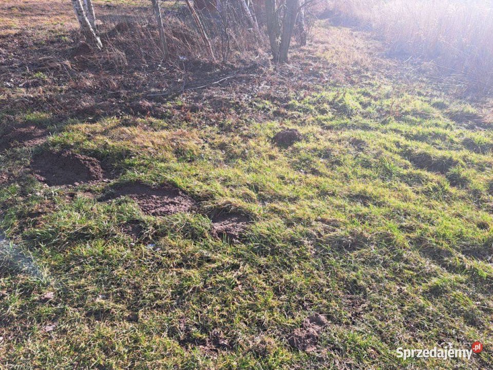 Przebieczanywidokowa działka budowlanamedia Przebieczany