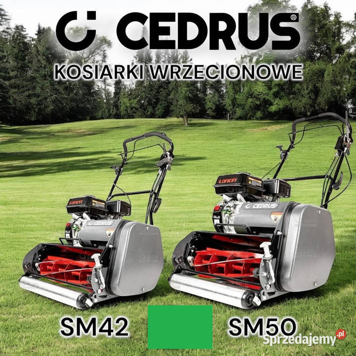 Kaseta szczotka Cedrus kosiarka wrzecionowa Opalenica