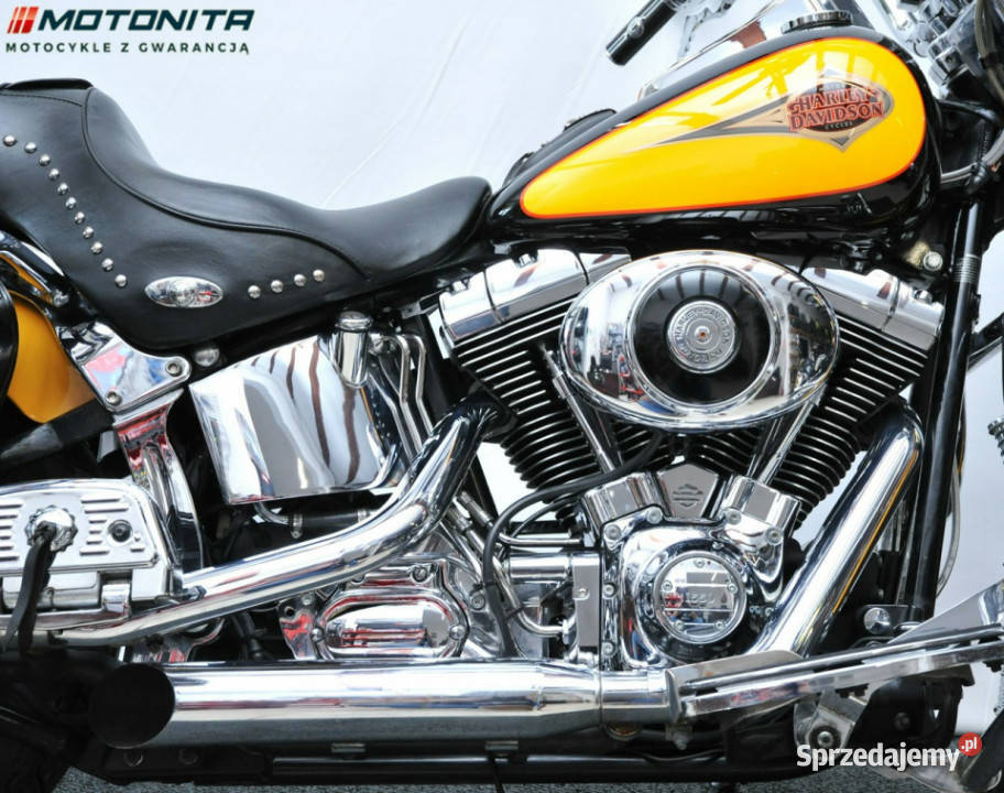 HarleyDavidson Heritage Harley Davidson Heritage Podkowa Leśna