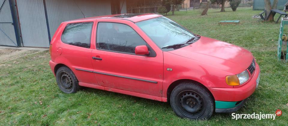 Volkswagen polo Polo