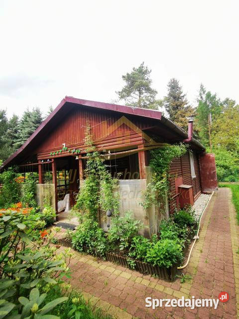 Grunt 506m2 Władysławów