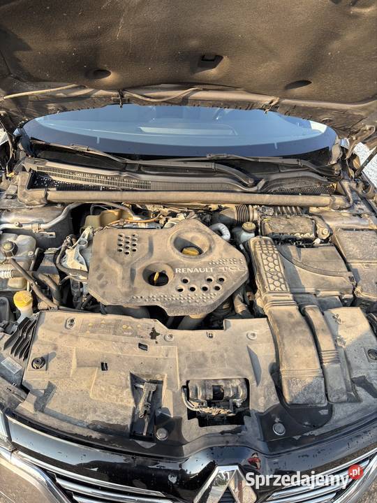 Renault talisman małopolskie Kraków