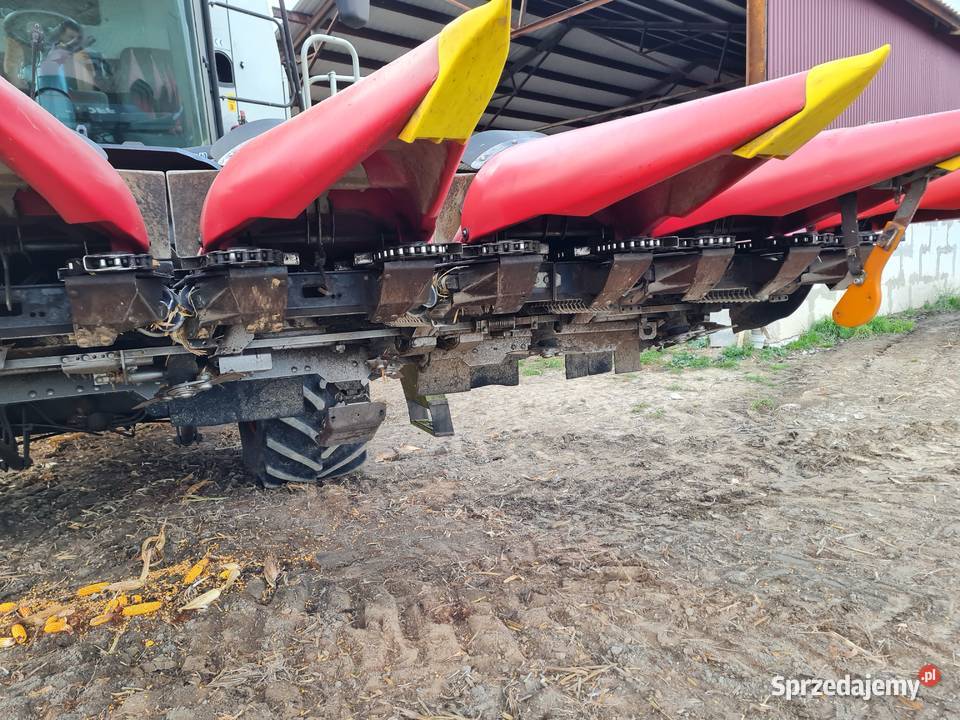 Przystawka do kukurydzy 8 rzędowa geringhoff 8