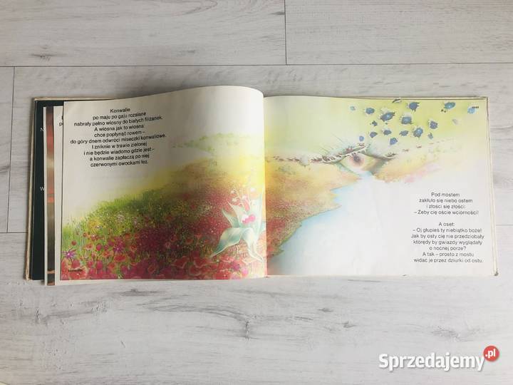 Książka Zagapienie Joanna Kulmowa łódzkie Łódź