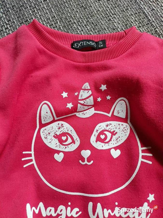 Bluza dziewczynki rozmiar 74 dziewczynka Bluzy Włocławek sprzedam