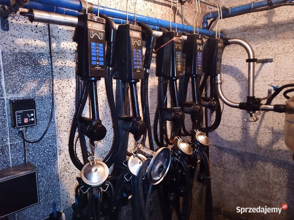 Dojarka przewodowa Alfa laval Złotów