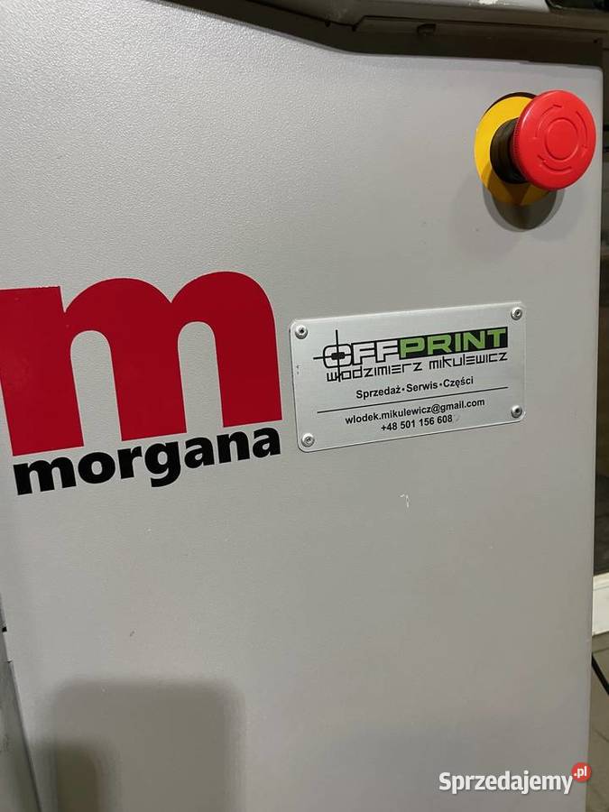 BIGÓWKA AUTOMATYCZNA LISTWOWA MORGANA Dobre Miasto