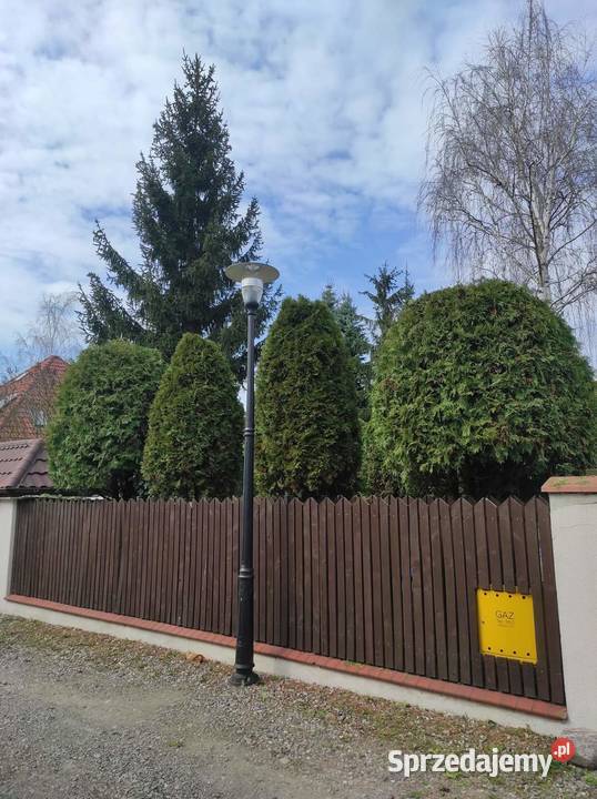 Usługi ogrodniczo dekarskie Warszawa