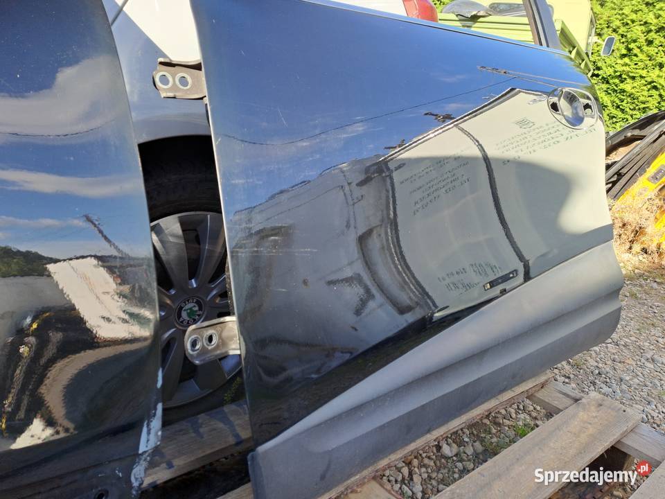 Renault Kadjar drzwi kod lakieru TEGNE śląskie