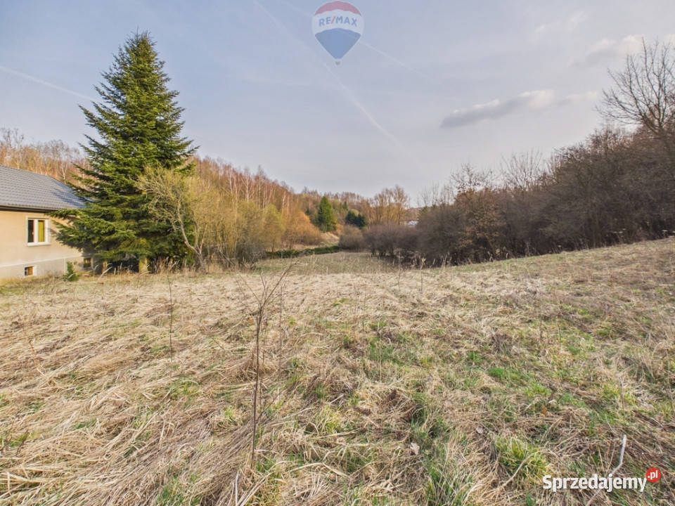 DOM WOLNOSTOJĄCY NARAMA DUŻA DZIAŁKA