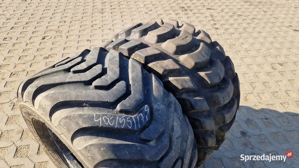 40055175 40055r175 Alliance Amazone Vaderstat warmińsko-mazurskie