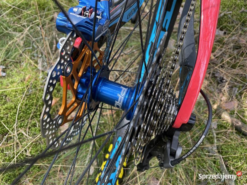 Pivot firebird Starogard Gdański