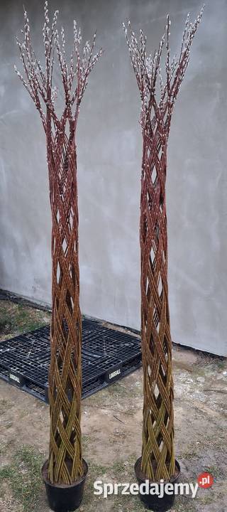 Wierzba pleciona TRANSPORT Kolbuszowa