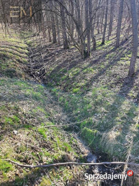 Działka 5000m2 Jazowa sprzedam