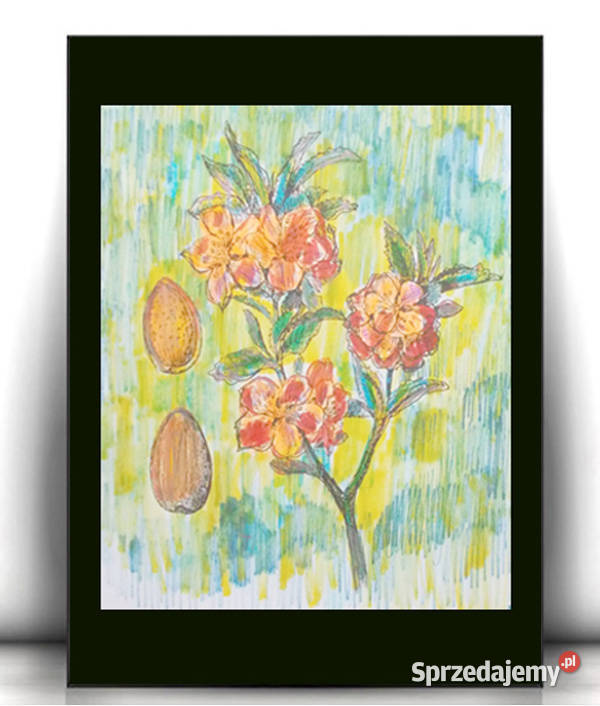botaniczny obrazek A4 rośliny obrazek 21x30 wielokolorowy Szczecin sprzedam