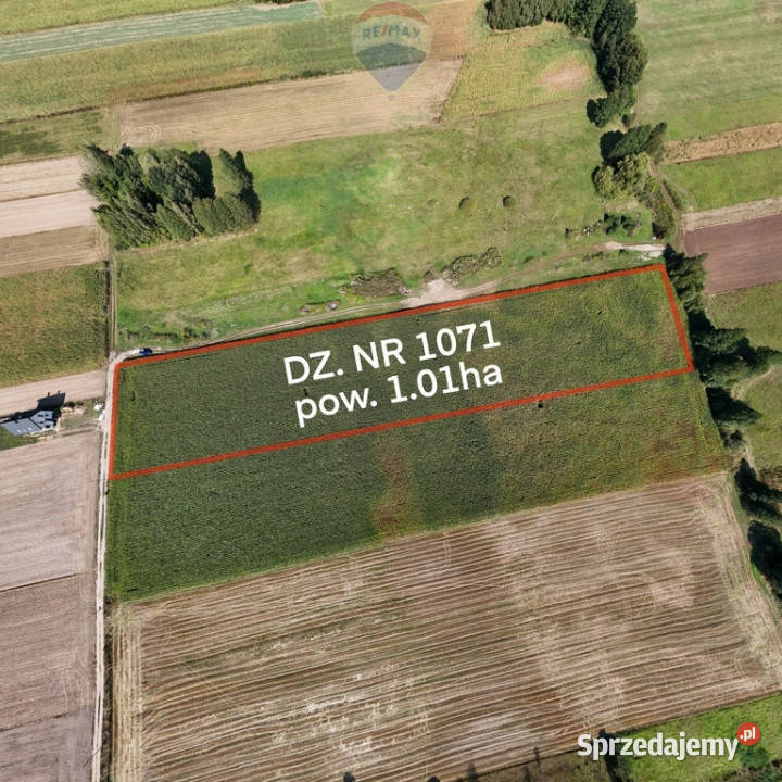 Działka siedliskoworolna 1ha Rębków kGarwolina Sprzedaż
