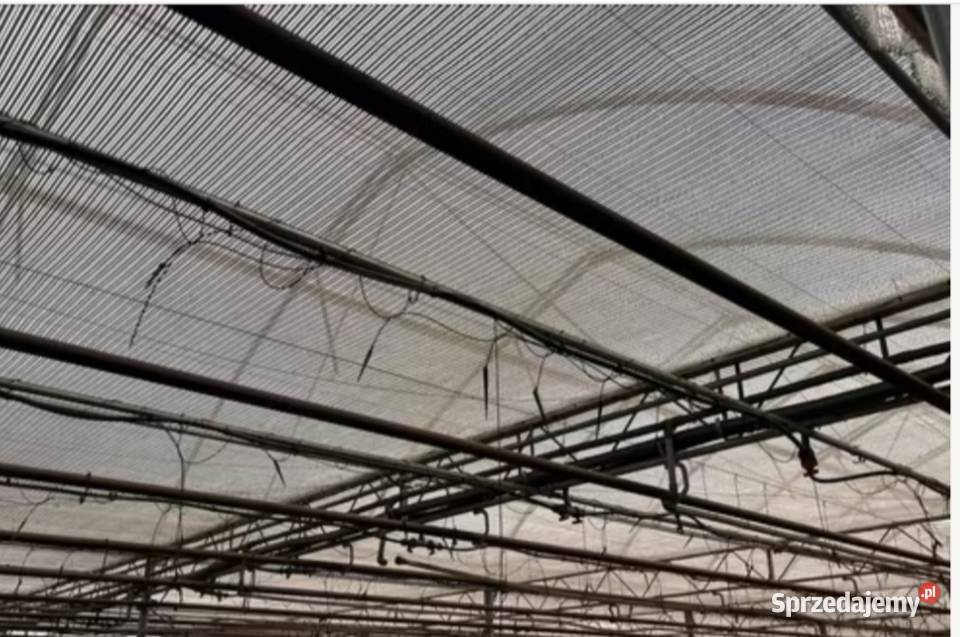 Szklarnia tunel foliowy 5500m2 mazowieckie Siedlce