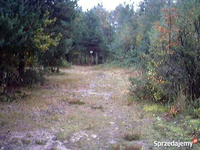 PROMOCYJNA Piekne działki rekreacja na Jurze śląskie