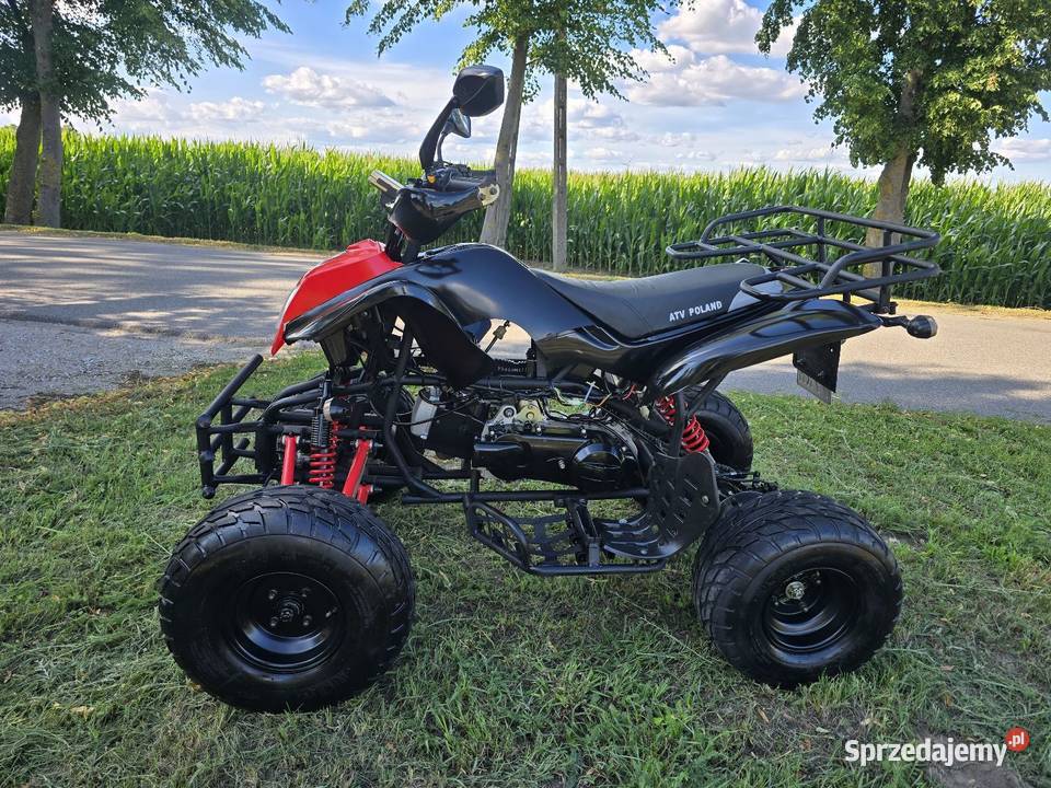 Quad Shenke Bashan 150200cc Automat Kat B łańcuch Kruszwica