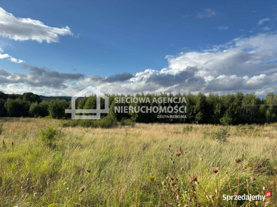 Działka 1407m2 Bielkówko Grunty i działki
