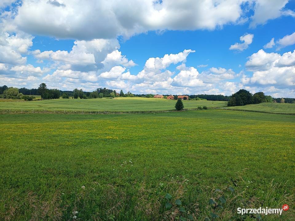 Siedlisko RADZIEJE mieszkanie 67 m2 działka warmińsko-mazurskie