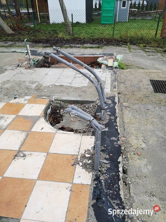 Działka ROD Wisełka 2 Gdańsk Sprzedaż sprzedam