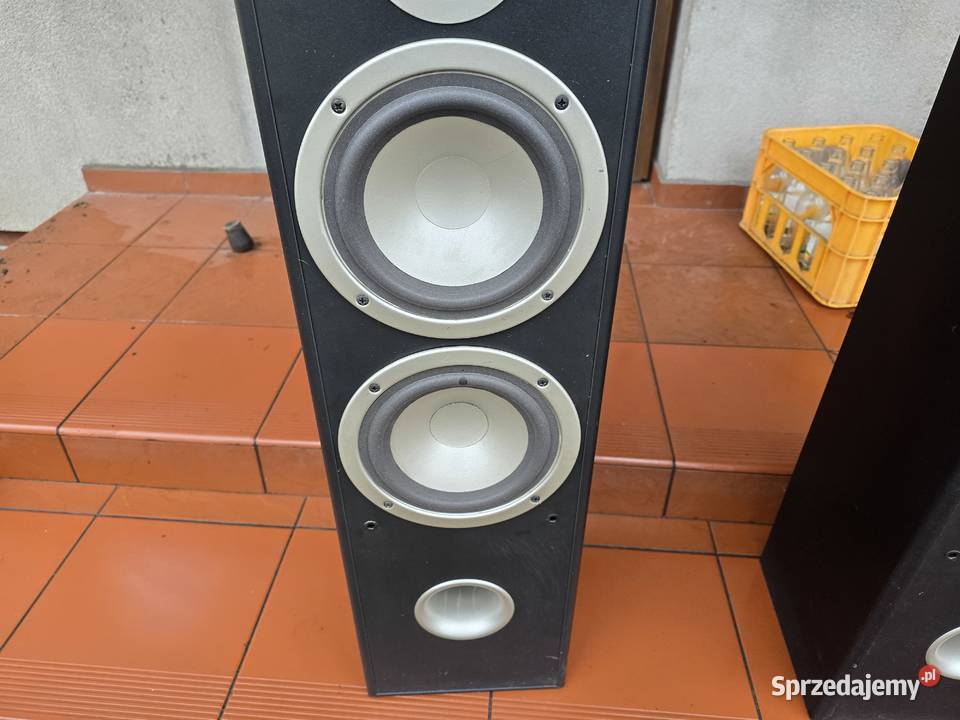 tonsil fenix front 100w 8ohm Chełm Śląski