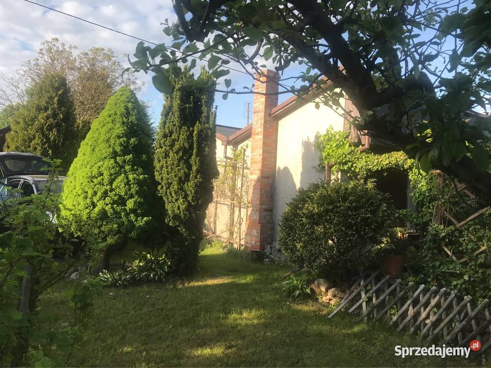 Działka ROD Jagodowo Bydgoszcz