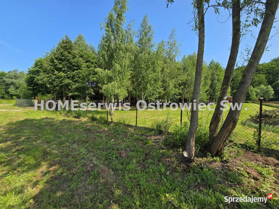 Dom wolnostojący 65m2 Czerwona Góra 4600m2 sprzedam