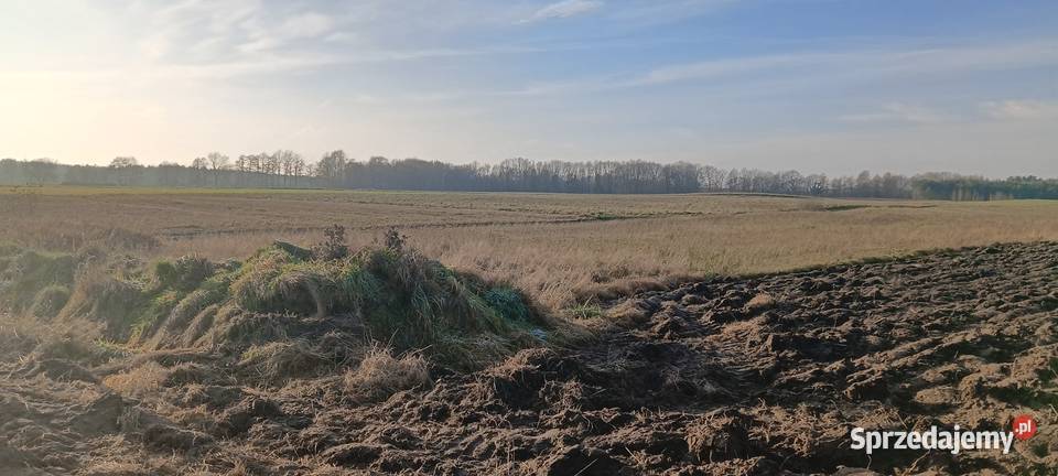 Działka w Gowinie k Wejherowa Gowino