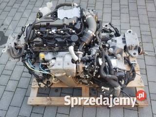 Silnik Kompletny Ford Focus Bmax Ecosport Mondeo wielkopolskie Śmigiel