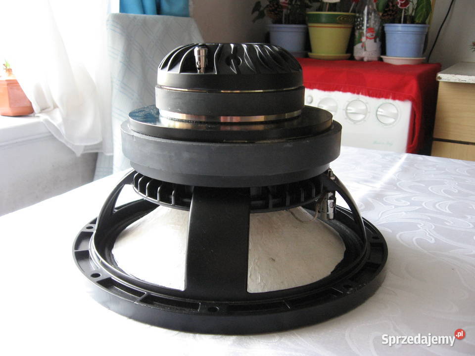 10 Inch Coaxial Speakers 300 W LF Driver and 80