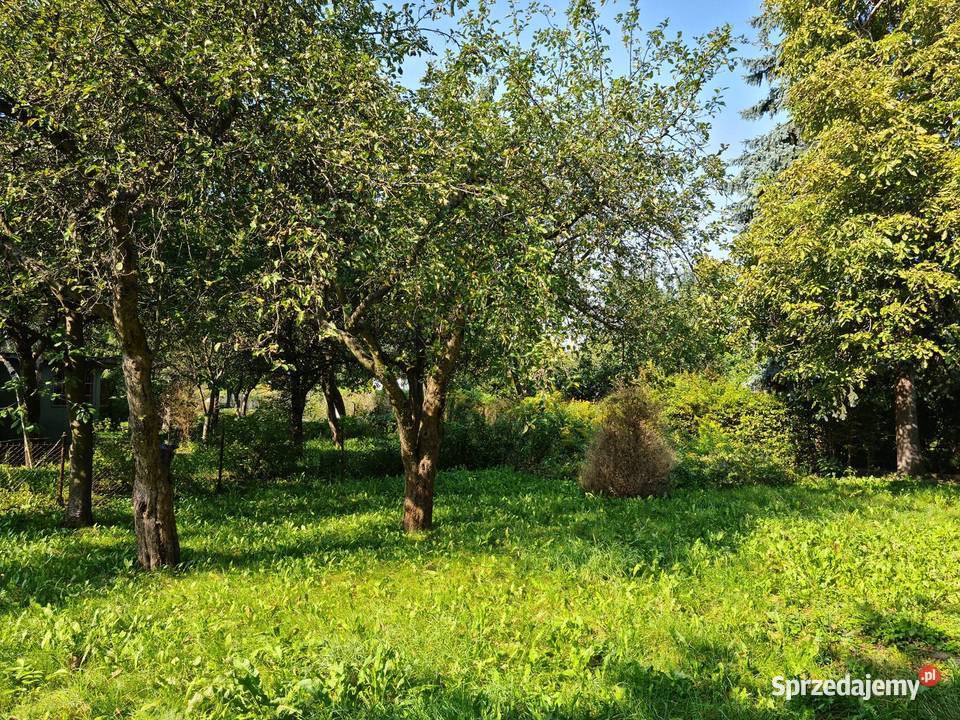 Sprzedam ogródek działkowy ROD Waszyngtona 580m2 Sprzedaż sprzedam
