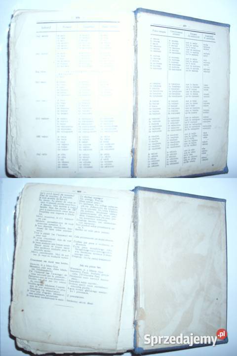 Paweł Kalina Słownik podręczny francuskopolski i