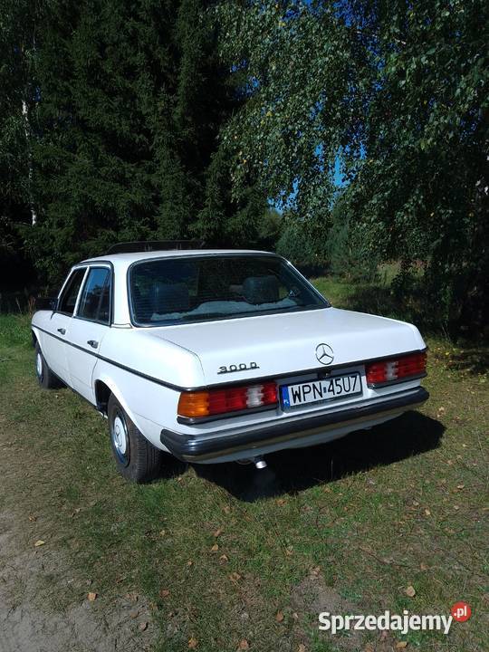Mercedes w 123 300D 80 300 sprzedam