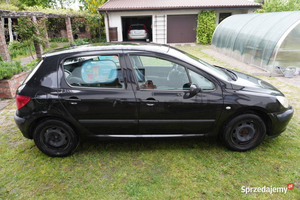 Peugeot 307 Mistral 2003 r 16 16V Benzyna 109 5 Poznań