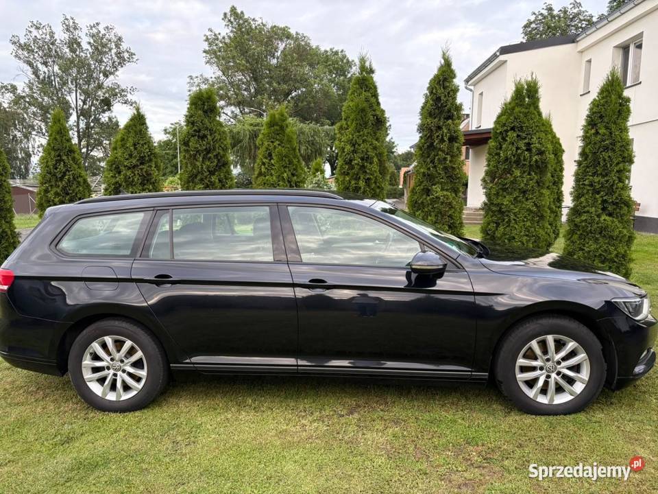 VW Passat B8 welurowa tapicerka