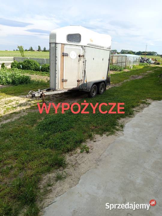 Przyczepka przyczepa bukmanka bydło konie Pozostałe Szynkielów
