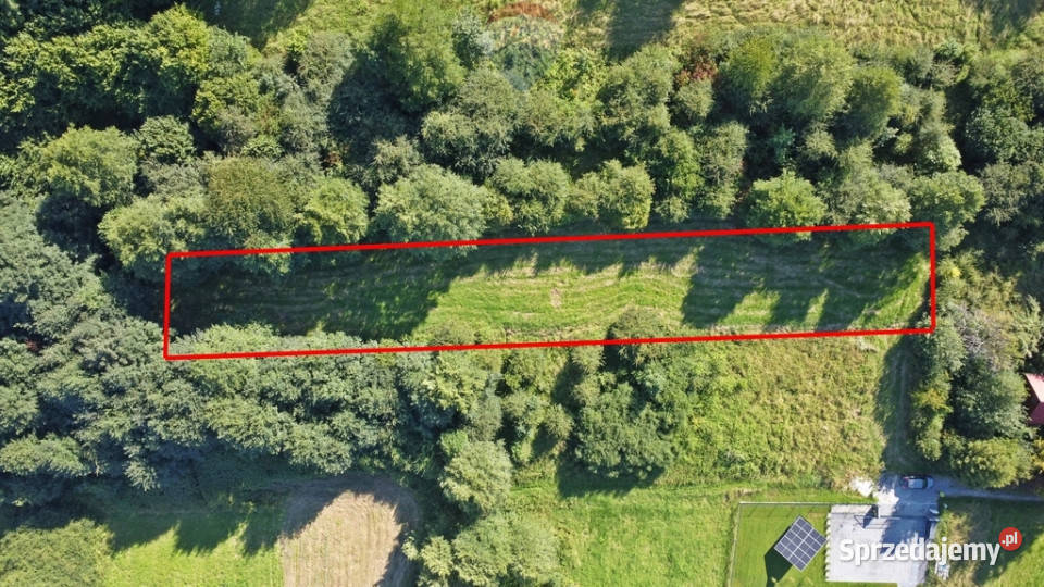 Działka rekreacyjna 1439m2 w Radziechowach Sprzedaż Radziechowy